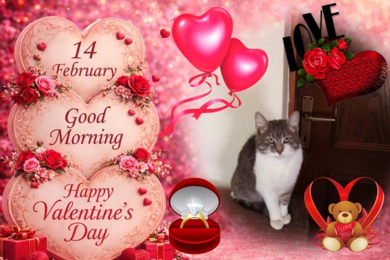 Princess Mona of the zoza1958 family