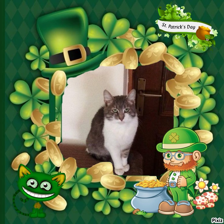 Princess Mona of the zoza1958 family