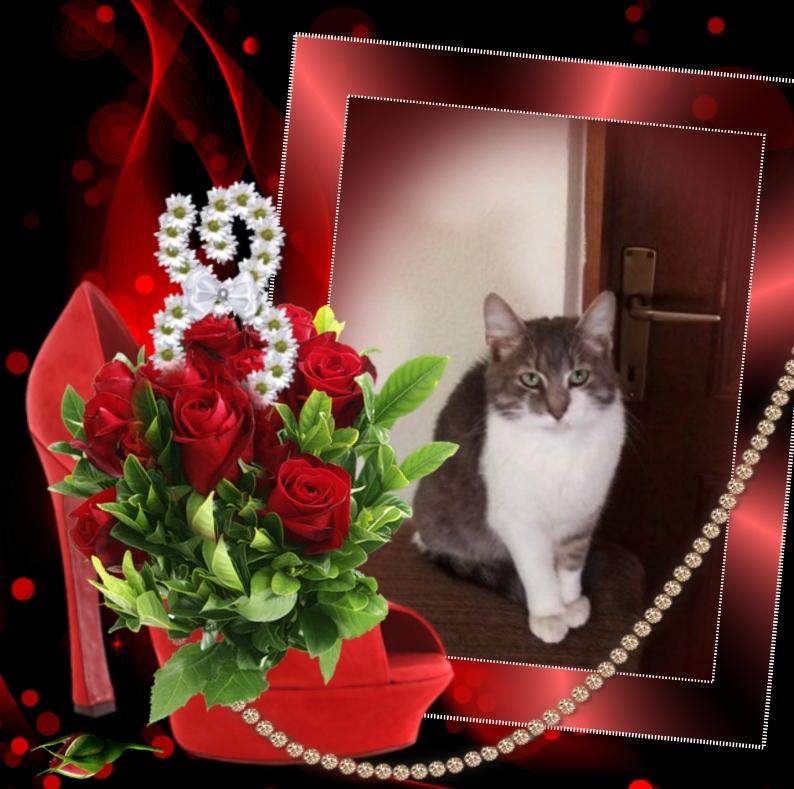 Princess Mona of the zoza1958 family