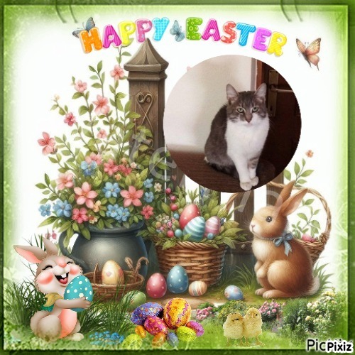 Princess Mona of the zoza1958 family