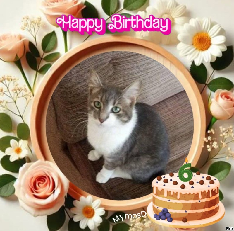zoza1958 uploaded   1 year/s ago