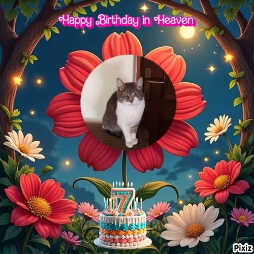 Princess Mona of the zoza1958 family