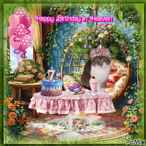 Princess Mona of the zoza1958 family