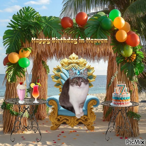 Princess Mona of the zoza1958 family