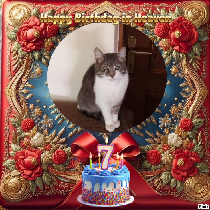 Princess Mona of the zoza1958 family