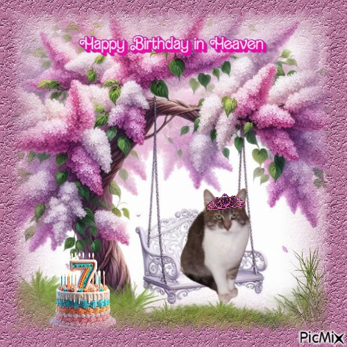 Princess Mona of the zoza1958 family