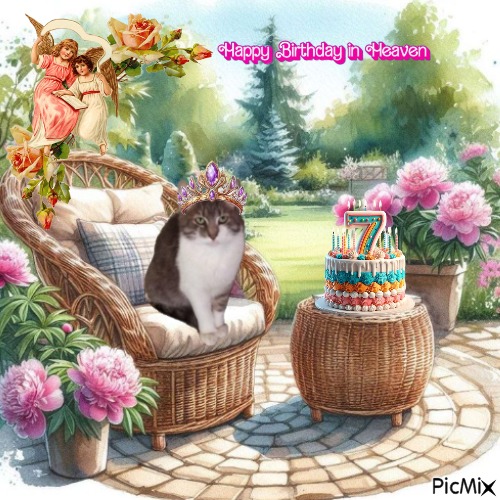 Princess Mona of the zoza1958 family