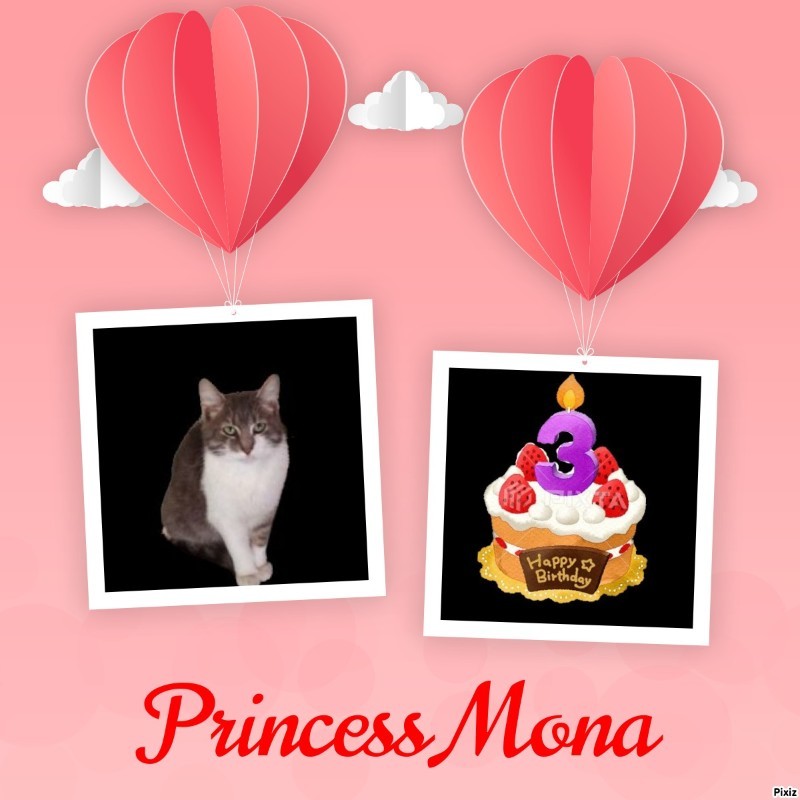 Princess Mona of the zoza1958 family