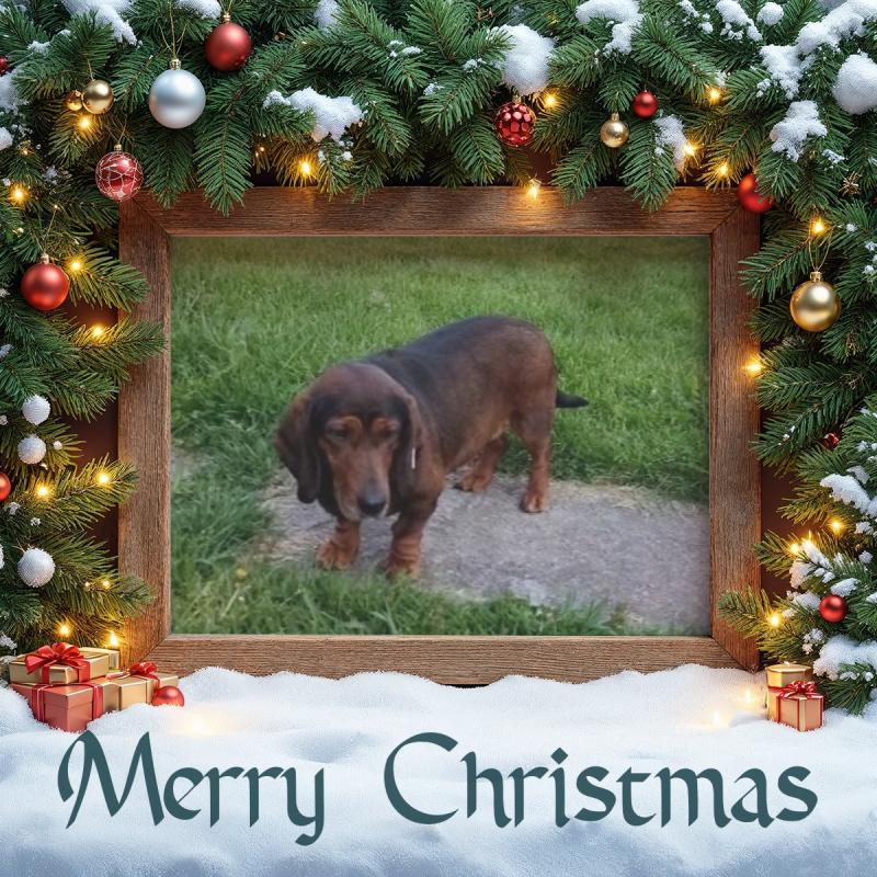 Princess Mirka of the zoza1958 family