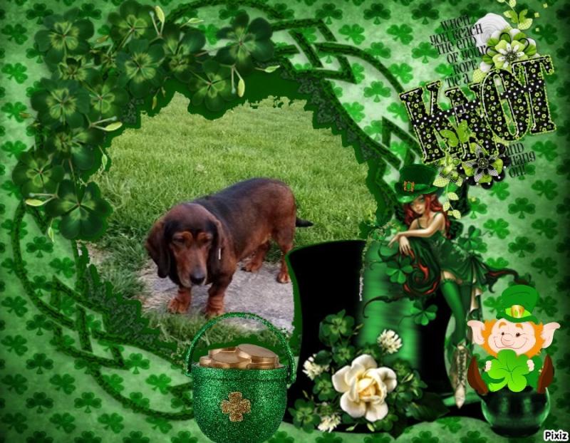 Princess Mirka of the zoza1958 family