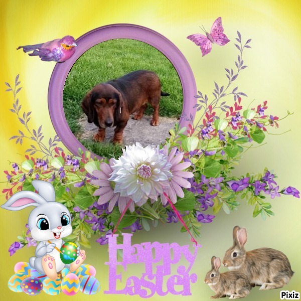 Princess Mirka of the zoza1958 family