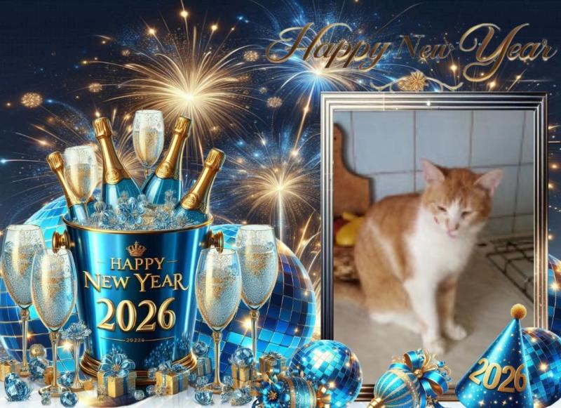 Prince Zucko of the zoza1958 family