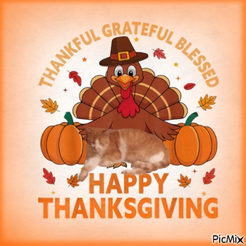 Prince Zucko of the zoza1958 family