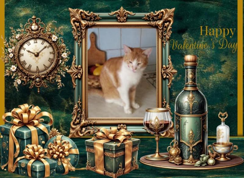 Prince Zucko of the zoza1958 family