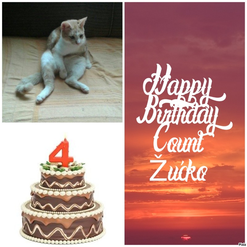 zoza1958 uploaded   2 year/s ago