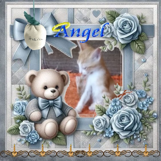 Prince Zucko of the zoza1958 family