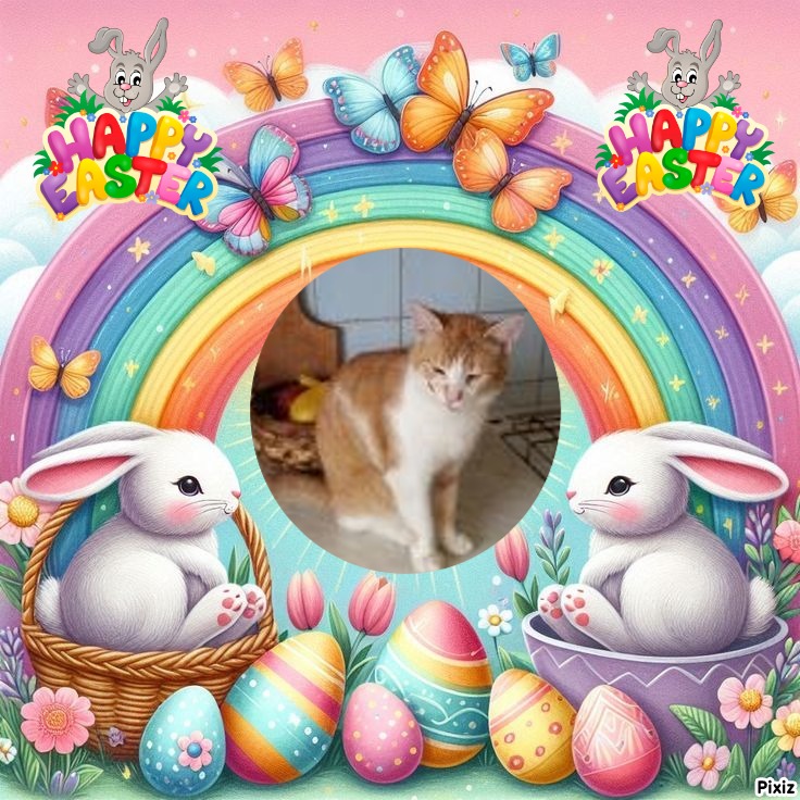 zoza1958 uploaded   6  day/s  ago