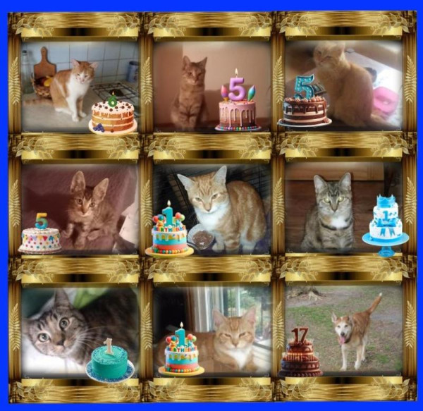 zoza1958 uploaded   3  day/s  ago