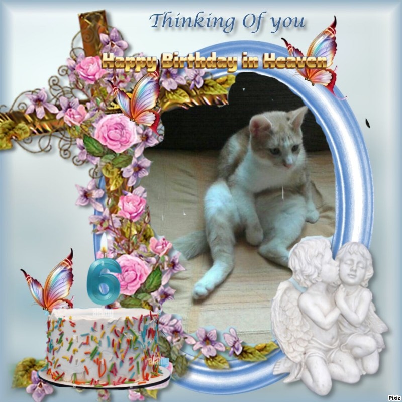 zoza1958 uploaded   3  day/s  ago