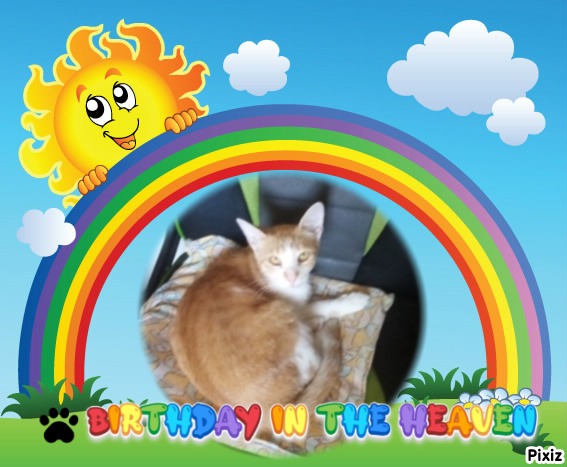 zoza1958 uploaded   5 hour/s ago