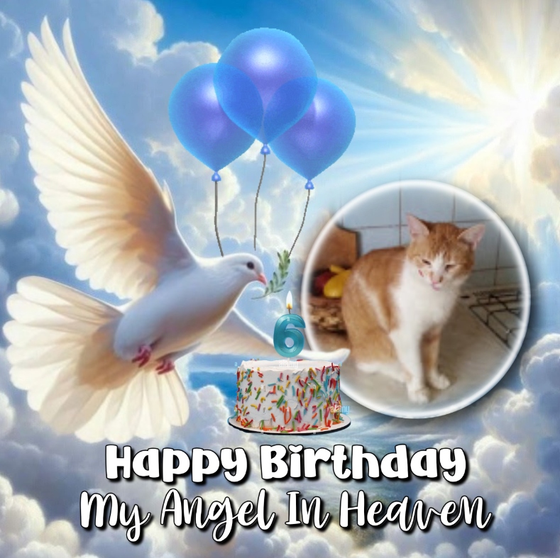 zoza1958 uploaded   4 hour/s ago