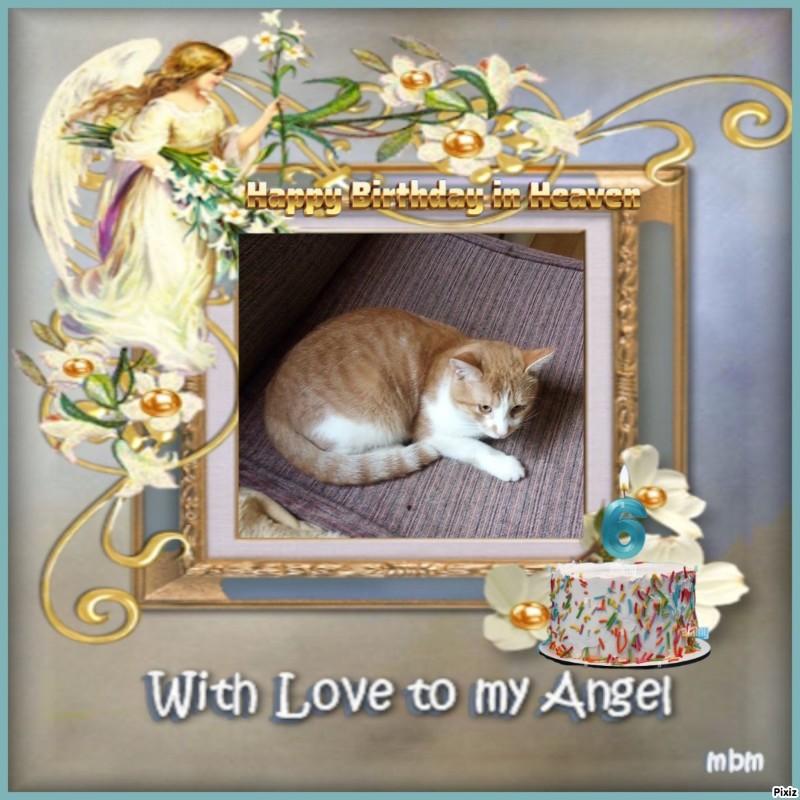 zoza1958 uploaded   3  day/s  ago