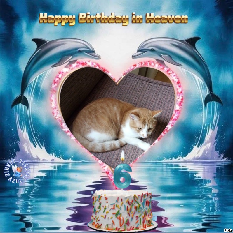 zoza1958 uploaded   3  day/s  ago