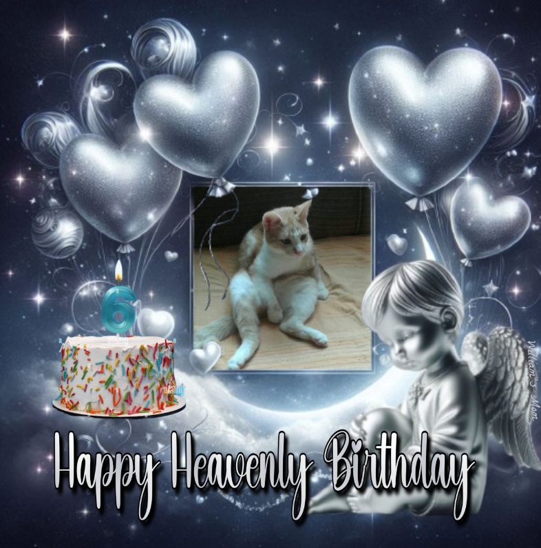 zoza1958 uploaded   4 hour/s ago