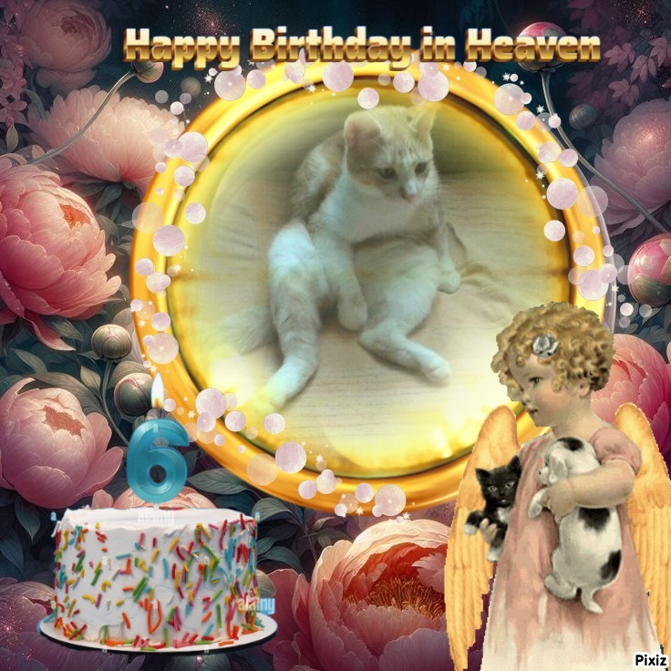 zoza1958 uploaded   3  day/s  ago