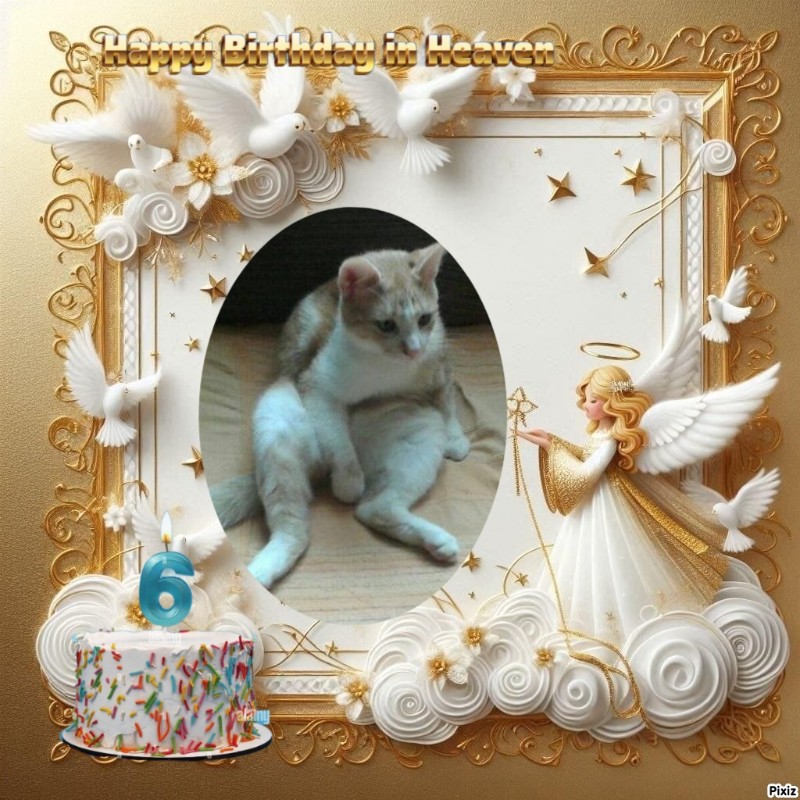 zoza1958 uploaded   3  day/s  ago