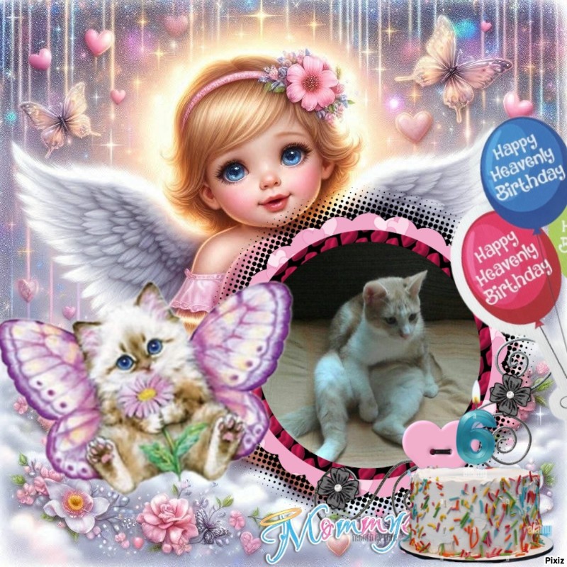 zoza1958 uploaded   3  day/s  ago