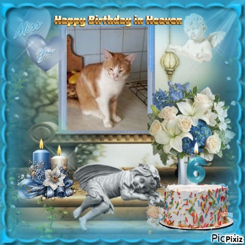 zoza1958 uploaded   3  day/s  ago