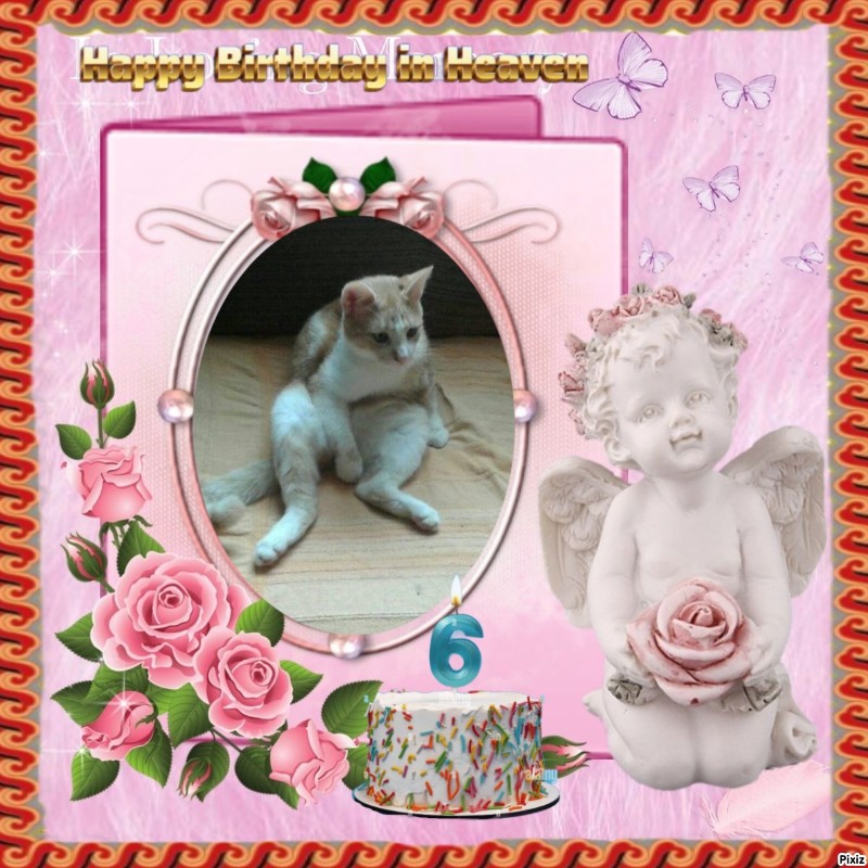 zoza1958 uploaded   3  day/s  ago