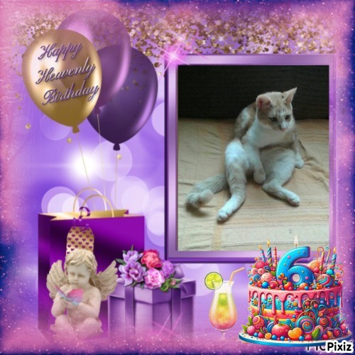 zoza1958 uploaded   3  day/s  ago