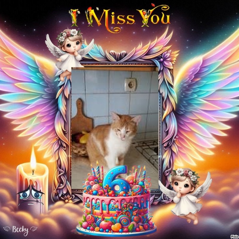 zoza1958 uploaded   3  day/s  ago