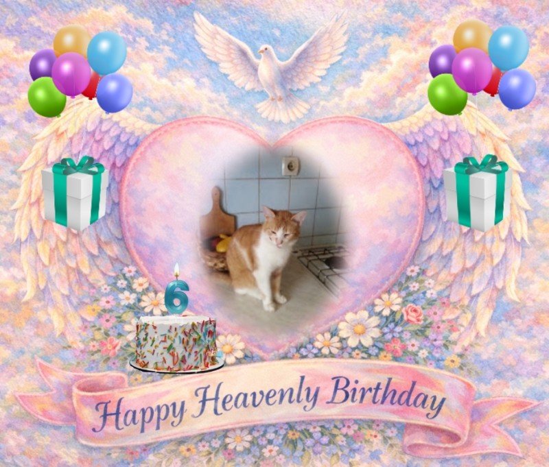 zoza1958 uploaded   4 hour/s ago