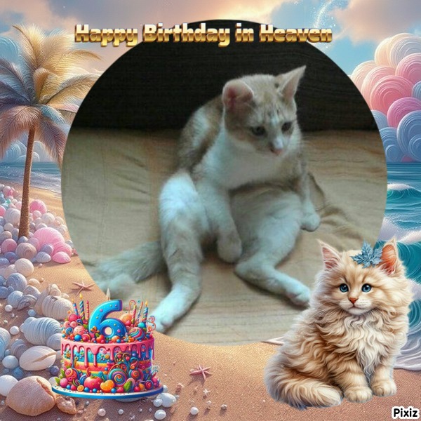 zoza1958 uploaded   3  day/s  ago