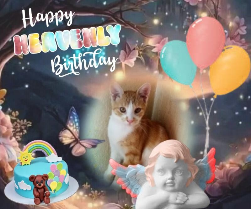 zoza1958 uploaded   3  day/s  ago