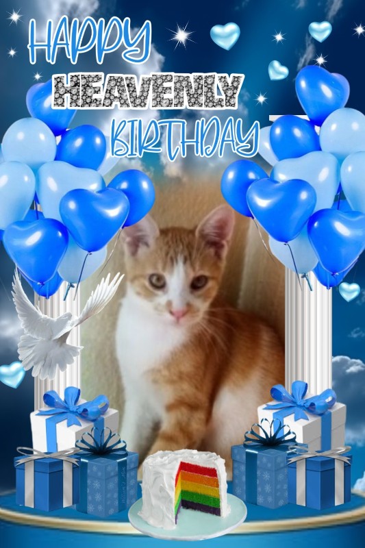 zoza1958 uploaded   3  day/s  ago