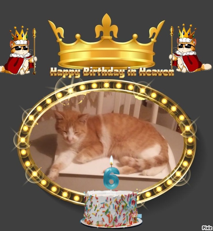 zoza1958 uploaded   3  day/s  ago