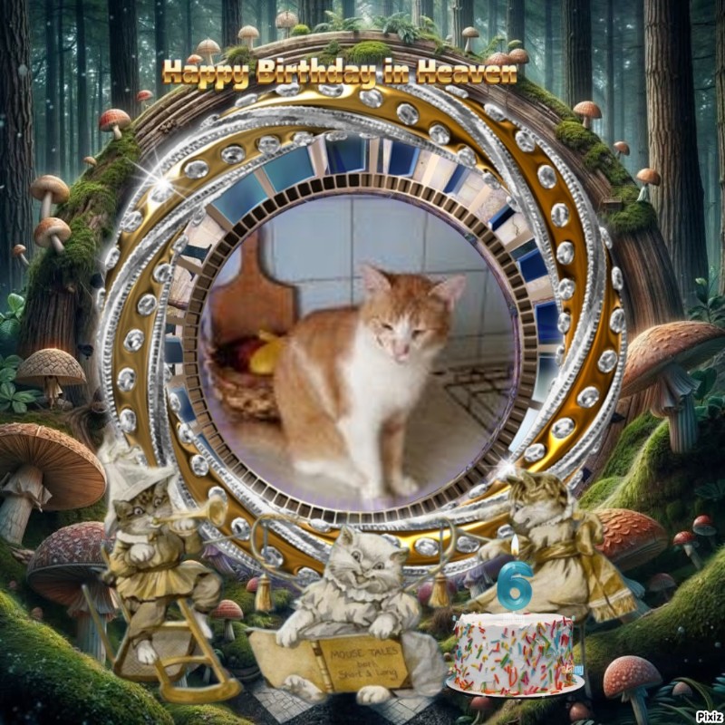 zoza1958 uploaded   3  day/s  ago