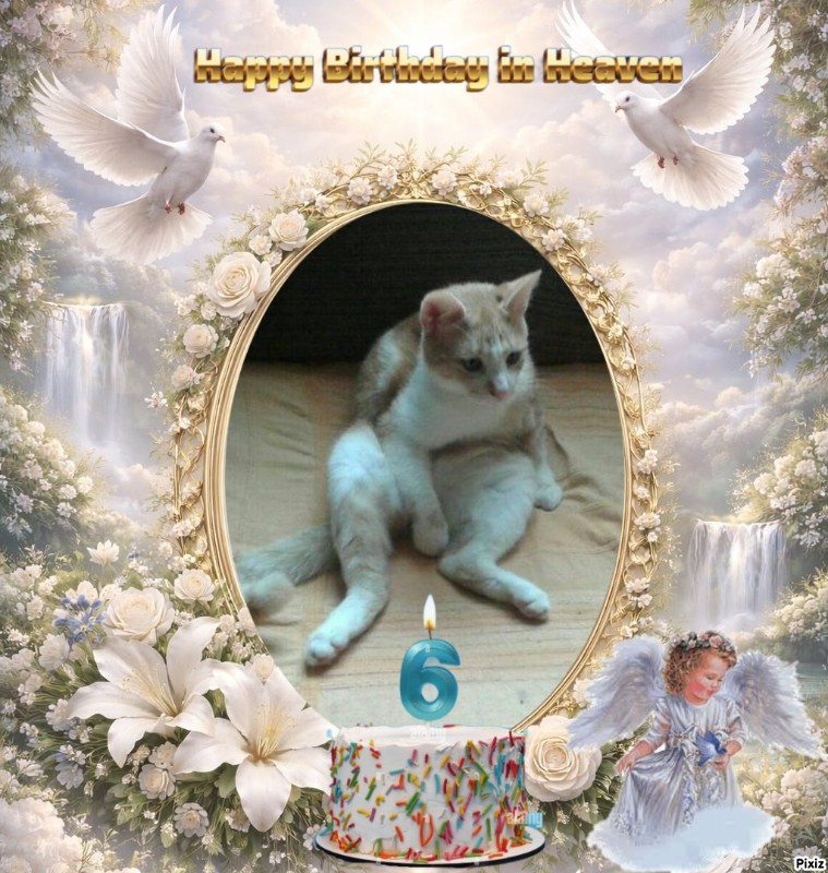 zoza1958 uploaded   3  day/s  ago