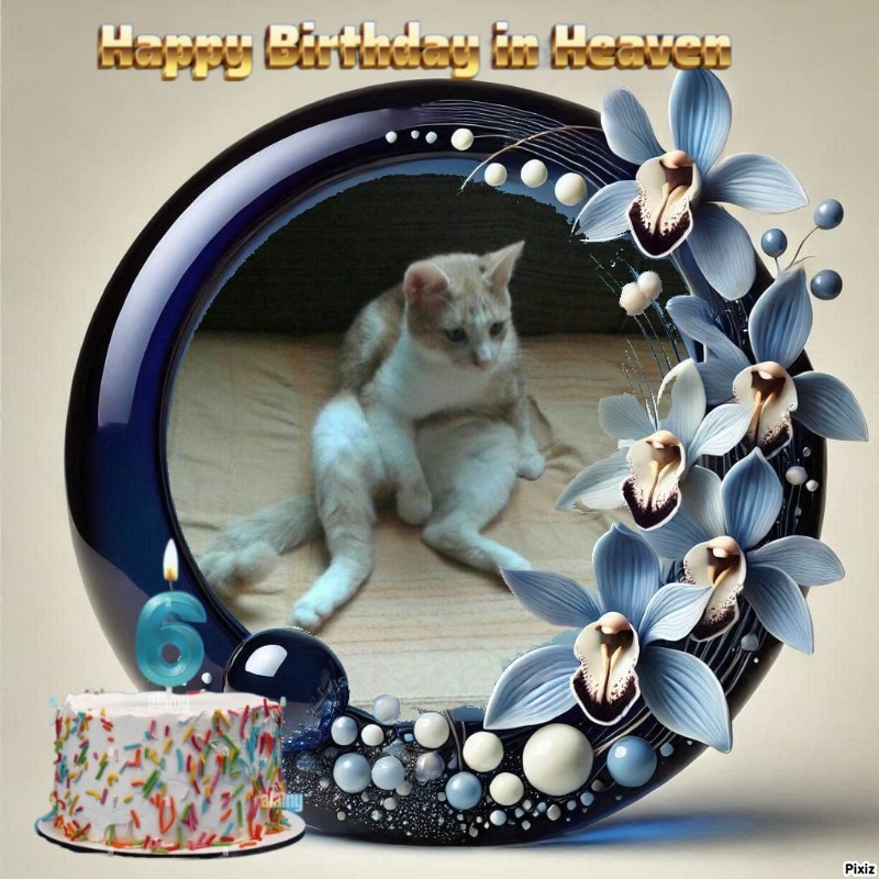 zoza1958 uploaded   3  day/s  ago