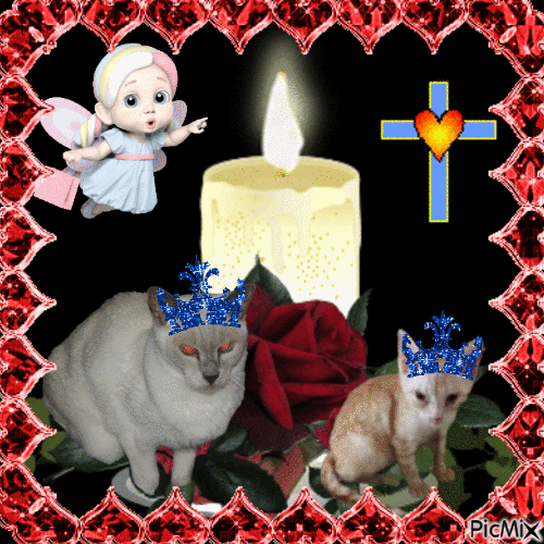 zoza1958 uploaded   8  day/s  ago