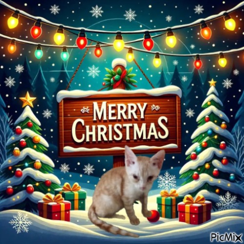 Prince Cvrle of the zoza1958 family