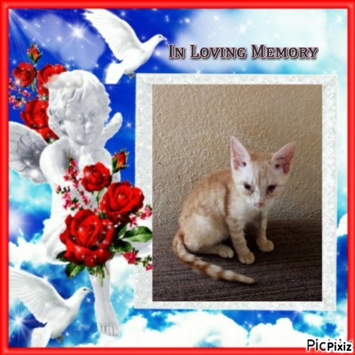 zoza1958 uploaded   8  day/s  ago