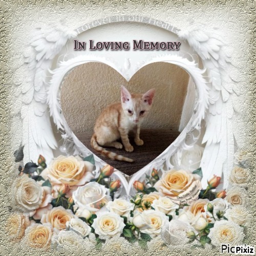 zoza1958 uploaded   8  day/s  ago