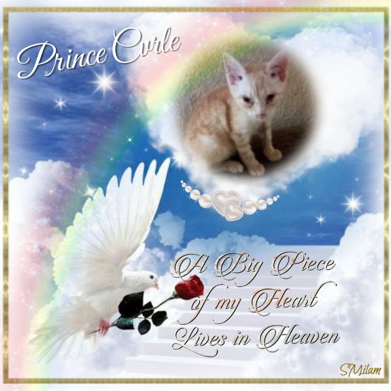 zoza1958 uploaded   7  day/s  ago