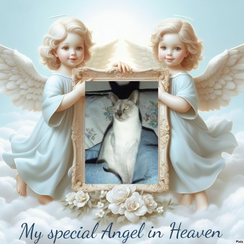 zoza1958 uploaded   8  day/s  ago