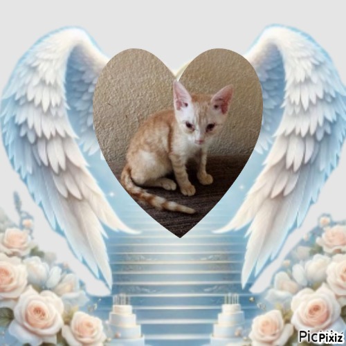 zoza1958 uploaded   8  day/s  ago